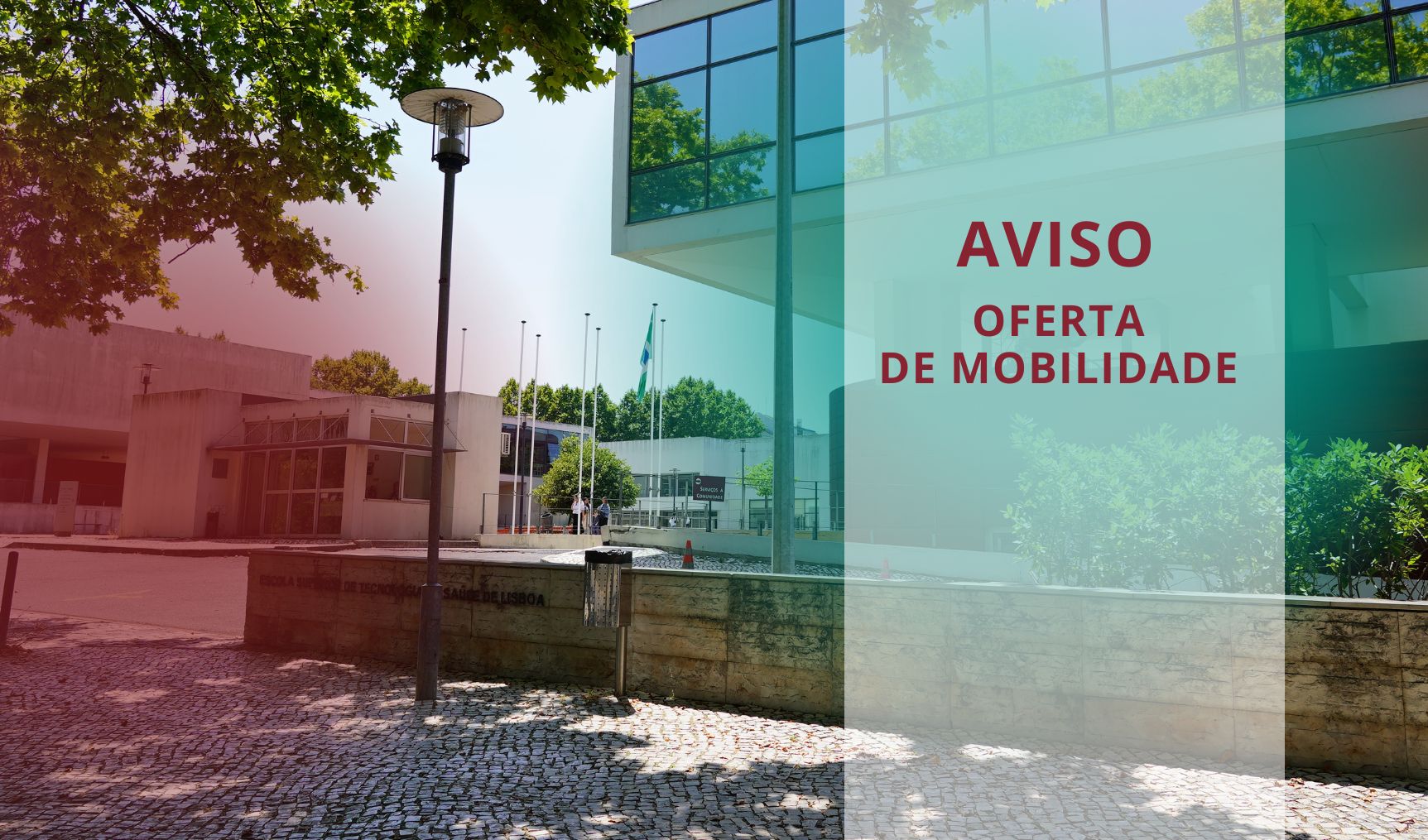 oferta de mobilidade