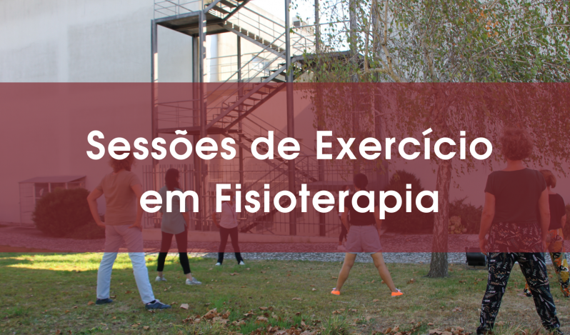 Sessões de Exercício em FT