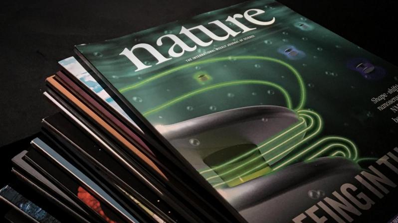 foto artigo nature