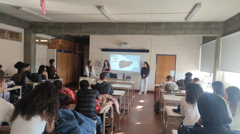Escola Alves Redol
