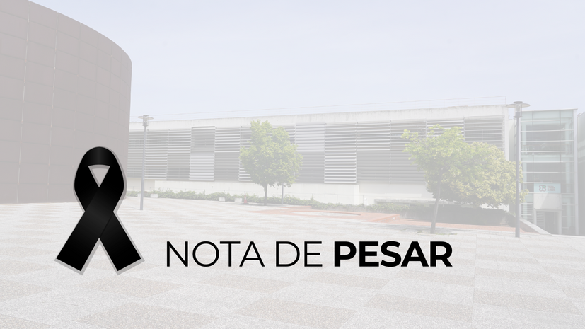 Notadepesar2026